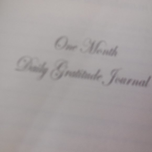 Daily Gratitude Journal 1-Month Workbook Paperback gift - Picture 2 of 6